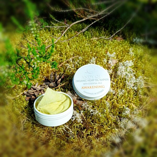 Andy Qi - Awakening wipe